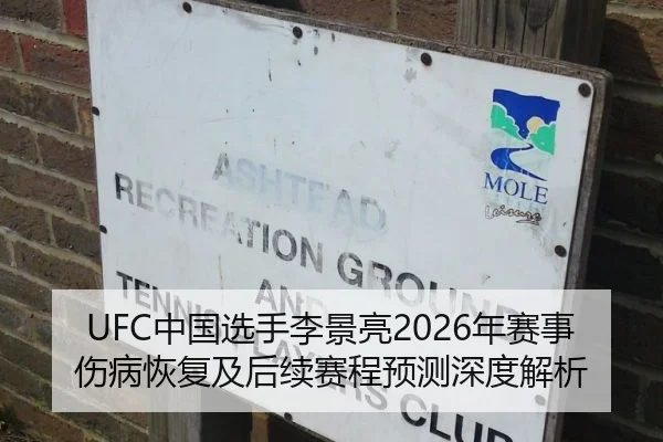 UFC中国选手李景亮2026年赛事伤病恢复及后续赛程预测深度解析