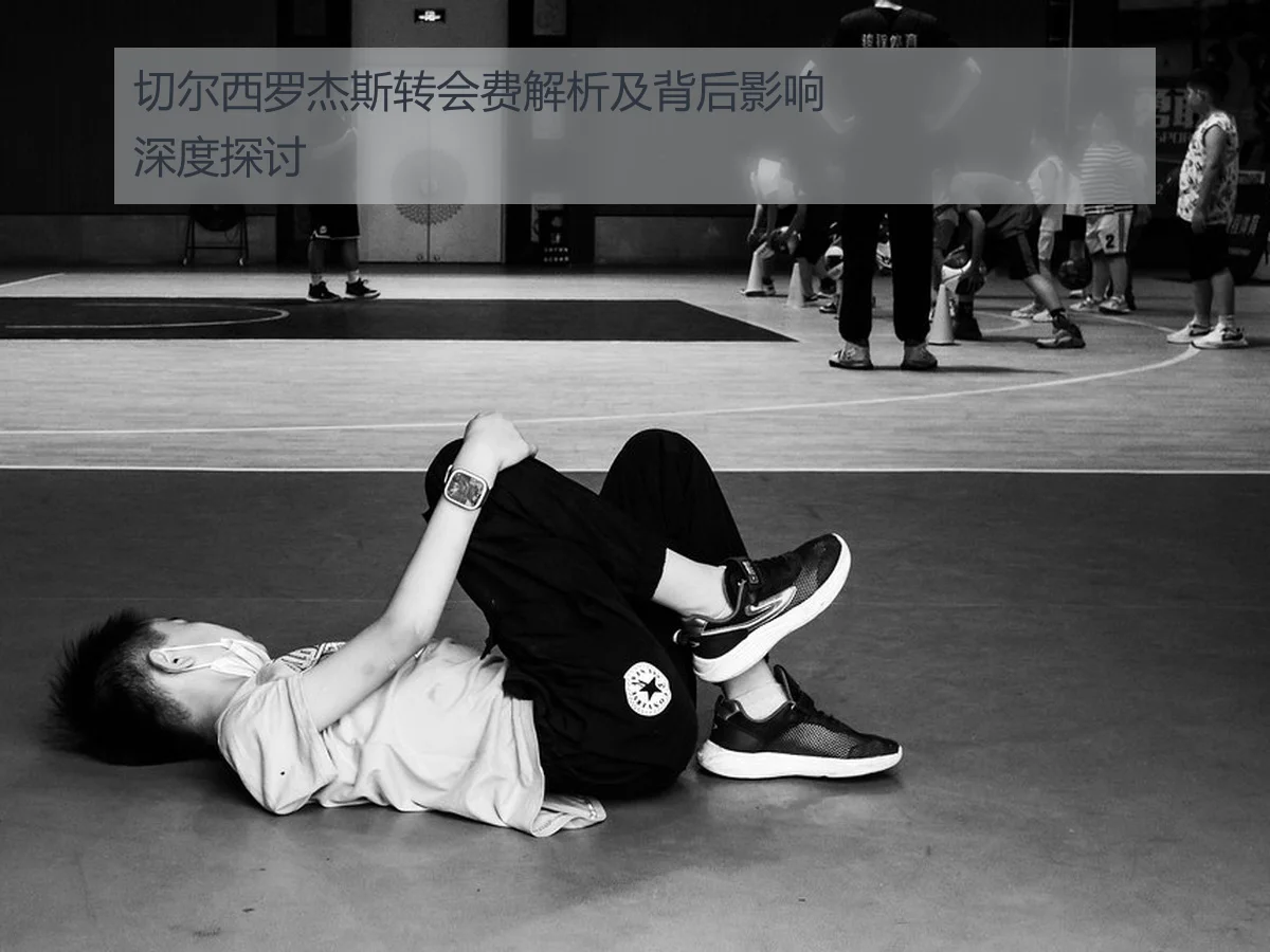 切尔西罗杰斯转会费解析及背后影响深度探讨
